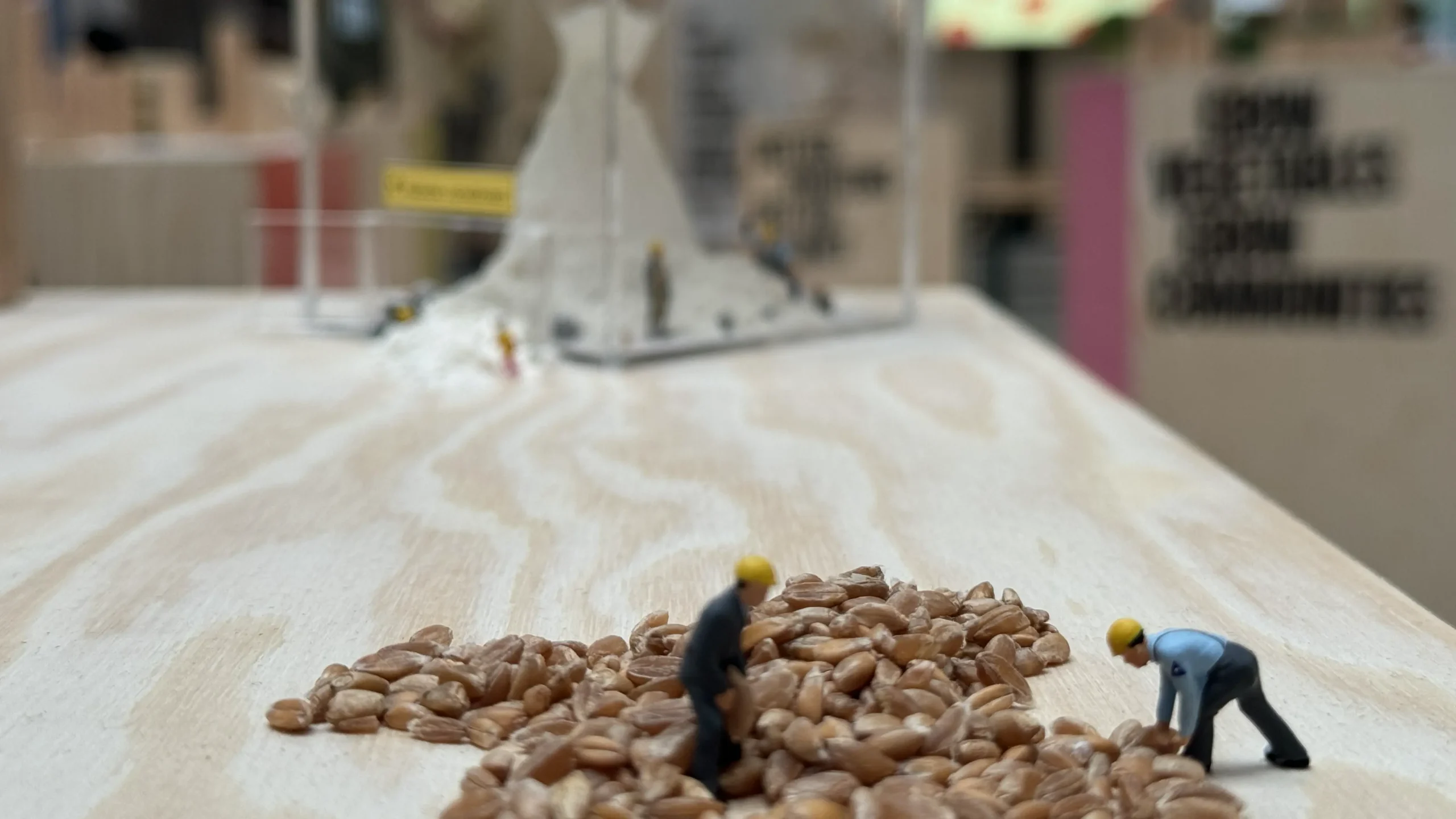 Tiny workers carrying grains from a pile of wheat