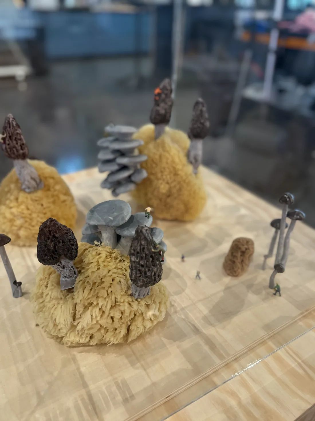The mushroom forest